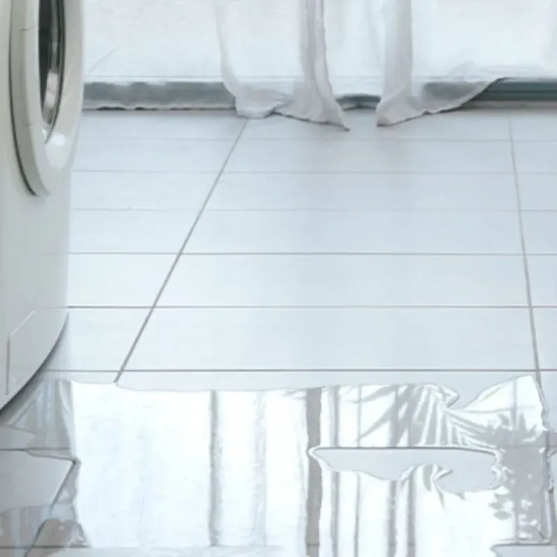 Appliance Leak Cleanup in Wurtland, KY