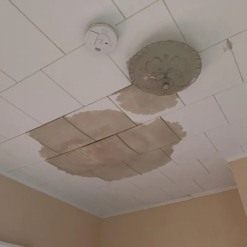 Ceiling Water Damage Repair in Wurtland, KY