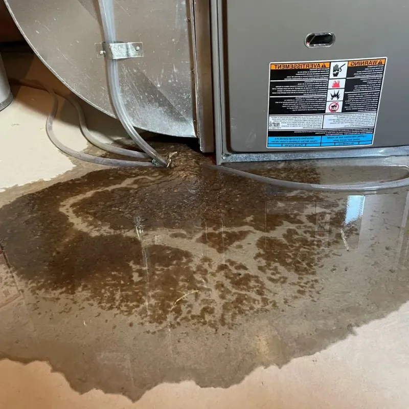 Pipe Burst and Leak Restoration in Wurtland, KY