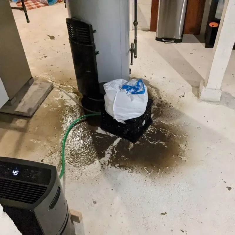 Sewage Backup Cleanup Service in Wurtland, KY